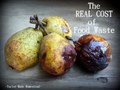 Your Home Kitchen Food Waste Challenge Image